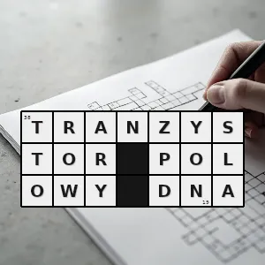 Rozwiązanie krzyżówki: tranzystor polowy - tranzystor polowy dna | hasła, synonimy i podpowiedzi Hasło krzyżówkowe tranzystor polowy - tranzystor polowy dna – rozwiązanie, synonimy, podpowiedzi i definicje krzyżówkowe
